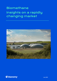 Blunomy's insights on the biomethane market - a series of briefs addressing key industry topics 