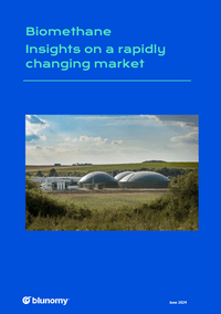 Blunomy's insights on the biomethane market - a series of briefs addressing key industry topics