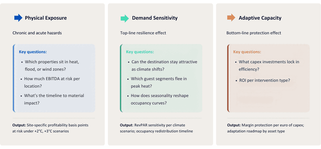 Blunomy portfolio diagnosis